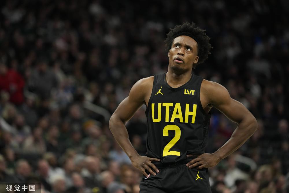 因为它不仅 因为它不仅